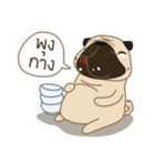 Kaoneaw The Pug（個別スタンプ：14）