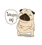 Kaoneaw The Pug（個別スタンプ：15）