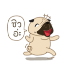 Kaoneaw The Pug（個別スタンプ：20）