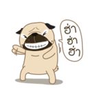 Kaoneaw The Pug（個別スタンプ：23）