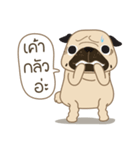 Kaoneaw The Pug（個別スタンプ：26）