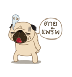 Kaoneaw The Pug（個別スタンプ：27）