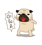 Kaoneaw The Pug（個別スタンプ：30）