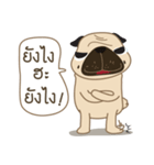 Kaoneaw The Pug（個別スタンプ：36）