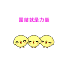 Sunny Day Chicken (Gaiety)（個別スタンプ：2）