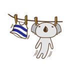 コアラのコラさん（個別スタンプ：16）