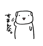 白柴千代丸（個別スタンプ：13）