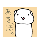 白柴千代丸（個別スタンプ：25）