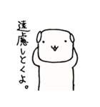 白柴千代丸（個別スタンプ：26）