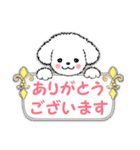 敬語・挨拶【デカ文字】白い仔犬（個別スタンプ：1）
