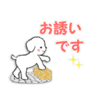 敬語・挨拶【デカ文字】白い仔犬（個別スタンプ：25）