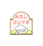 敬語・挨拶【デカ文字】白い仔犬（個別スタンプ：29）