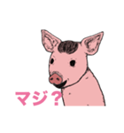 動くイケメンの豚〜（個別スタンプ：10）