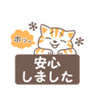 はこにゃん（個別スタンプ：24）