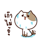 Tofu the cat（個別スタンプ：4）