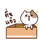 Tofu the cat（個別スタンプ：13）