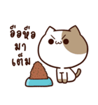 Tofu the cat（個別スタンプ：15）