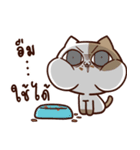 Tofu the cat（個別スタンプ：16）