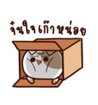 Tofu the cat（個別スタンプ：17）