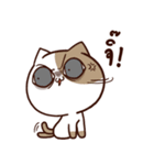 Tofu the cat（個別スタンプ：27）