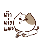 Tofu the cat（個別スタンプ：30）