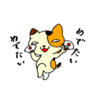 猫イズム（個別スタンプ：21）