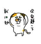 Oooooops fat cat（個別スタンプ：12）