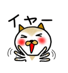 三毛猫だんごちゃん（個別スタンプ：16）