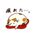 ぐーたら三毛猫にゃんこ3（個別スタンプ：3）