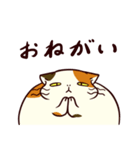 ぐーたら三毛猫にゃんこ3（個別スタンプ：9）