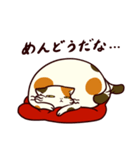 ぐーたら三毛猫にゃんこ3（個別スタンプ：13）