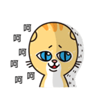 Crazy cat for the funny chat（個別スタンプ：5）