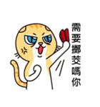 Crazy cat for the funny chat（個別スタンプ：12）