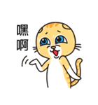 Crazy cat for the funny chat（個別スタンプ：16）