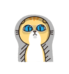 Crazy cat for the funny chat（個別スタンプ：25）