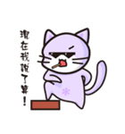 Daco Cat（個別スタンプ：20）