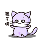 Daco Cat（個別スタンプ：24）