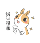 Dodo is coming！（個別スタンプ：1）