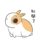 Dodo is coming！（個別スタンプ：6）