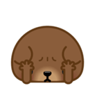 Coffee Bear 4 (Facial Expression)（個別スタンプ：4）