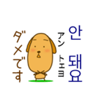 わんこに韓国語を習おう（個別スタンプ：12）