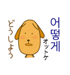 わんこに韓国語を習おう（個別スタンプ：24）