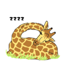 Giraffe Panay（個別スタンプ：4）
