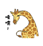 Giraffe Panay（個別スタンプ：12）