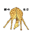 Giraffe Panay（個別スタンプ：21）