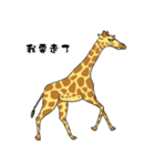 Giraffe Panay（個別スタンプ：28）