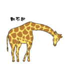 Giraffe Panay（個別スタンプ：31）