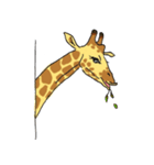 Giraffe Panay（個別スタンプ：36）