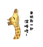 Giraffe Panay（個別スタンプ：40）