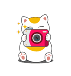 Kawaii Neko The Lucky Cat（個別スタンプ：23）